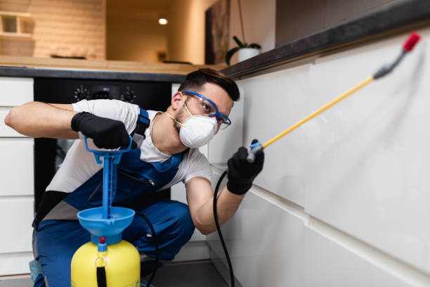 Best Affordable Pest Control Services  in La Verne, CA