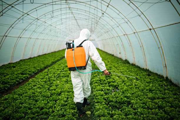 Best Affordable Pest Control Services  in La Verne, CA