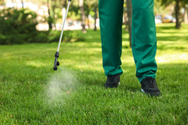 Bird Control in La Verne, CA