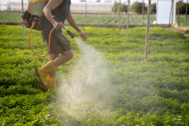 Best Pest Control for Businesses  in La Verne, CA