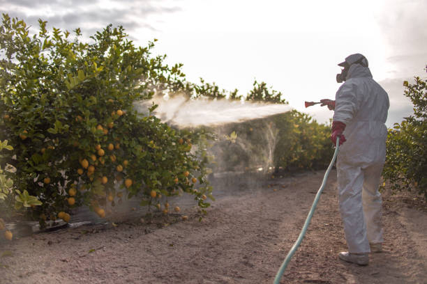 Flea Control Services in La Verne, CA