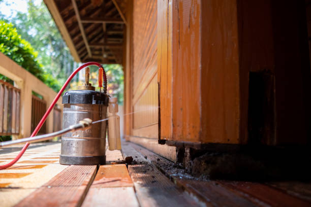 Wasp Removal Services in La Verne, CA