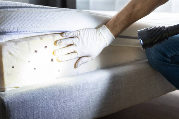 Best Best Pest Control Near Me  in La Verne, CA