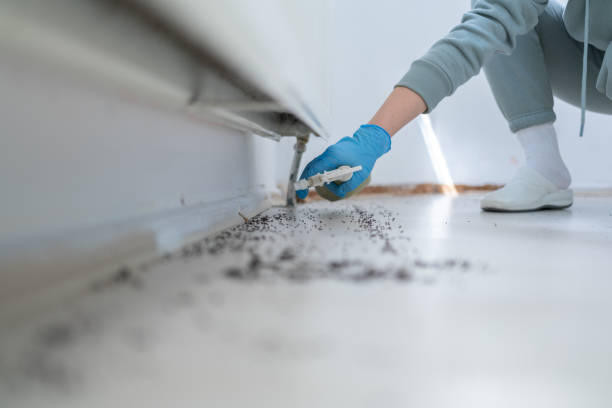  La Verne, CA Pest Control Pros